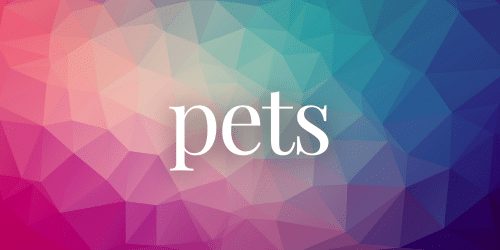 pet pet