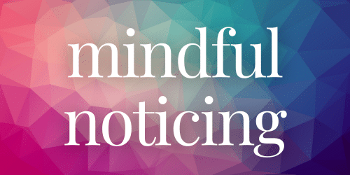 mindful noticing mindful noticing