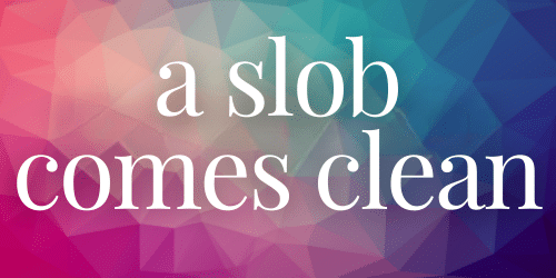 Dana K White from A Slob Comes Clean - website Dana K White from A Slob Comes Clean - website